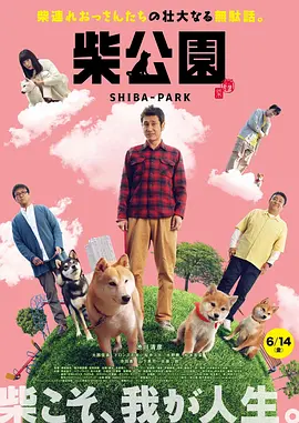亚洲理论视频